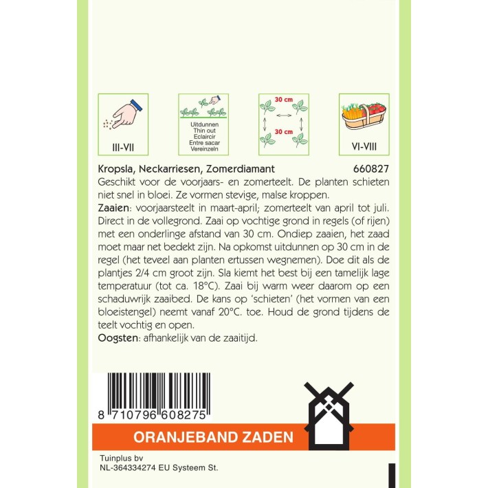 Oranjeband® Laitue pommée Diamant d'Eté