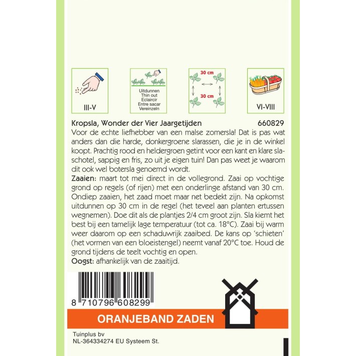 Oranjeband® Lettuce Merveille des quatre Saisons