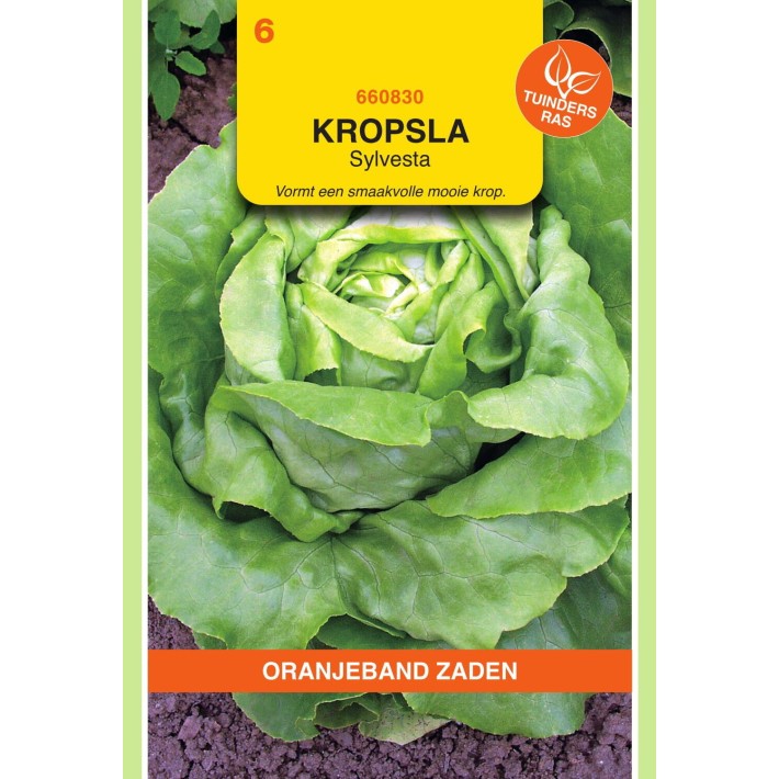 Oranjeband® Laitue Sylvesta