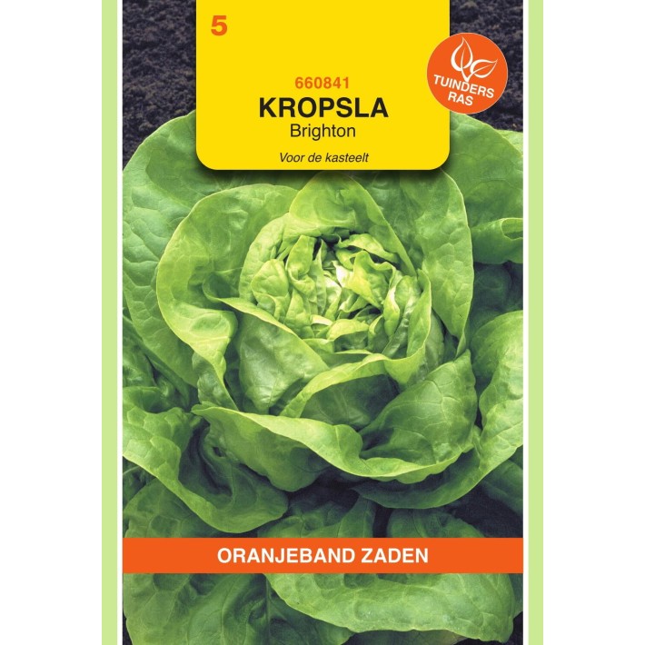 Oranjeband® Lettuce Brighton