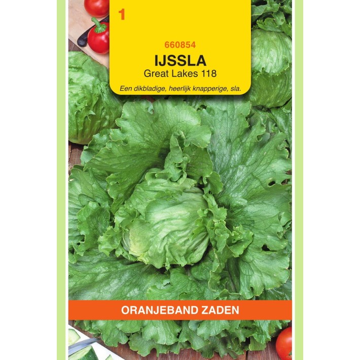 Oranjeband® Lettuce (Crisp) Great Lakes 118