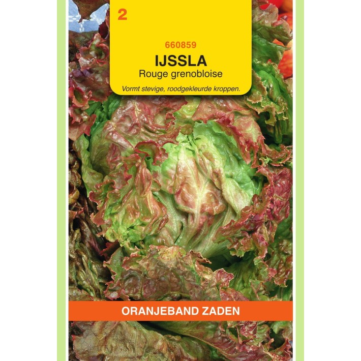 Oranjeband® Laitue pommée Rouge Grenobloise