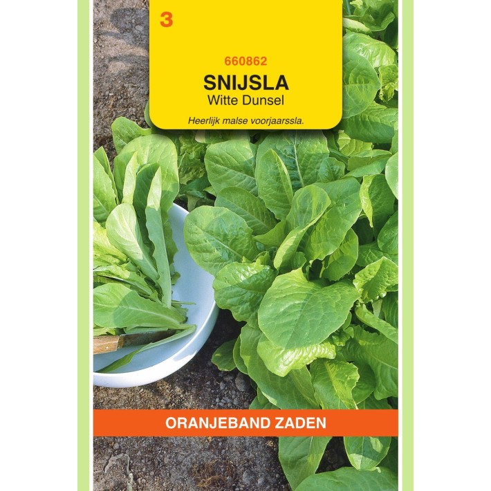 Oranjeband® Laitue à couper Blonde de Paris