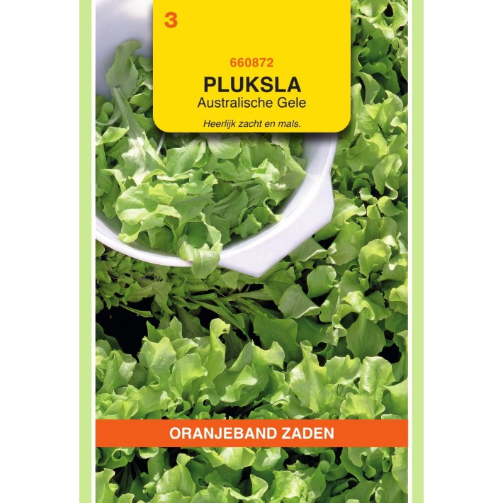Oranjeband® Laitue à couper Frisée d'Australie