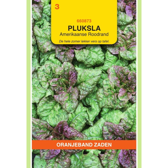 Oranjeband® Laitue à couper Frisée d'Amérique