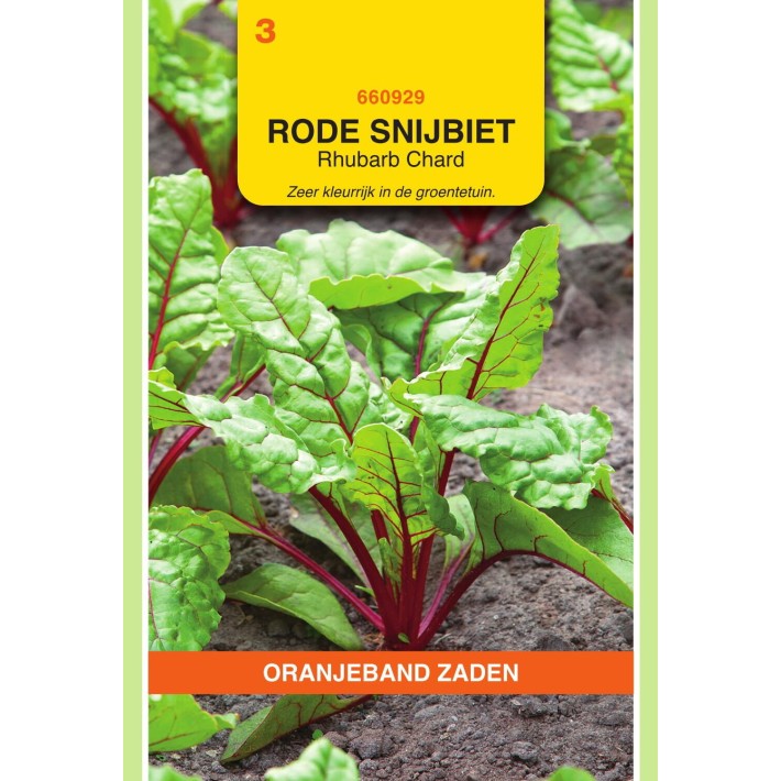 Oranjeband® Poiree Rhubarb Chard - Rouge
