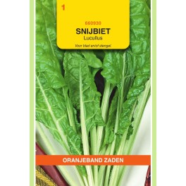 Snijbiet Lucullus