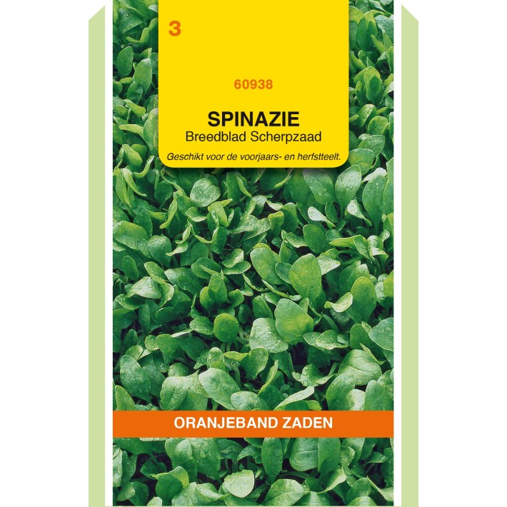 Oranjeband® Epinard Breedblad a graine piquante, 50g