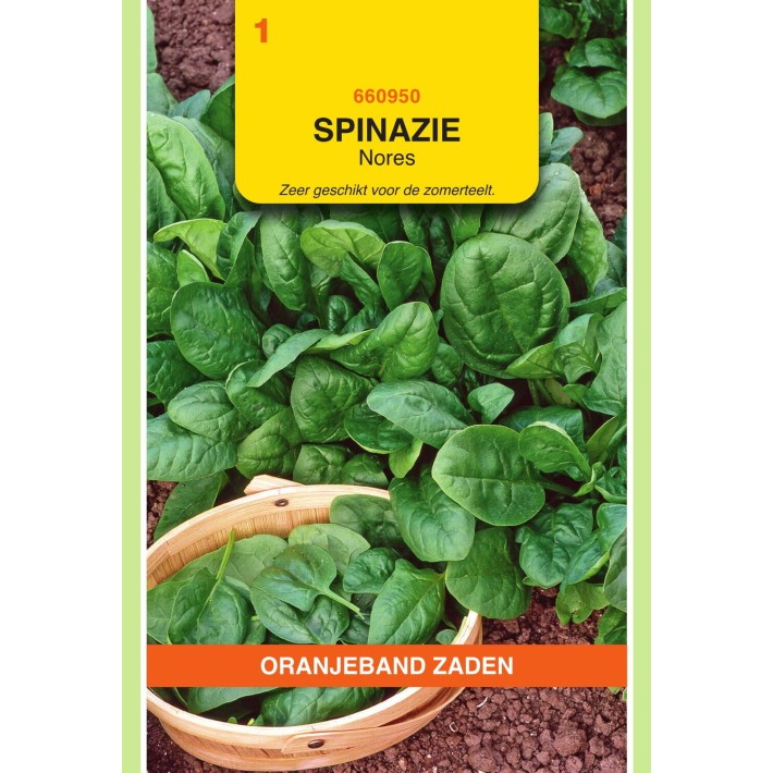 Oranjeband® Epinard Nores (Viking), 15g