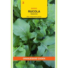 Rucola gewone