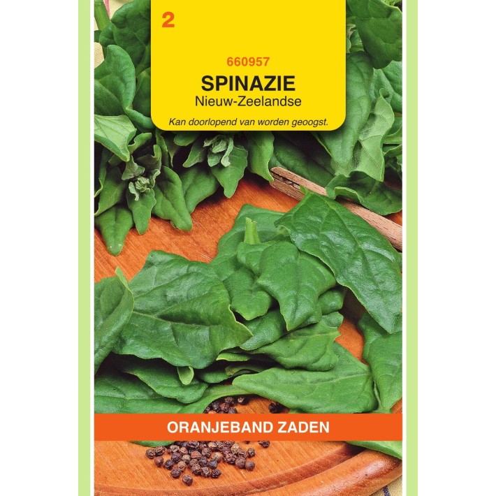 Oranjeband® Tétragone cornue/Epinard de la Nouvelle Zélande