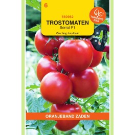 Oranjeband® Tomato Serrat F1