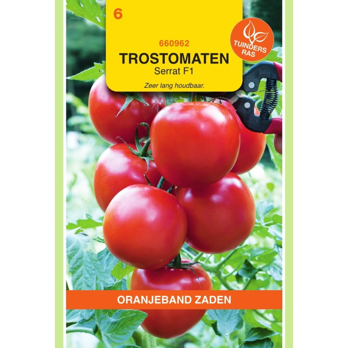 Oranjeband® Tomato Serrat F1