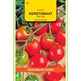 Oranjeband® Tomato Tiny Tim, Bush Small Fruited Cherry