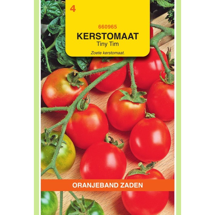 Oranjeband® Tomato Tiny Tim, Bush Small Fruited Cherry