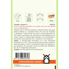 Oranjeband® Tomato Morane F1