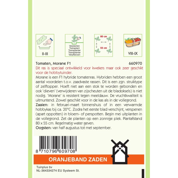 Oranjeband® Tomato Morane F1