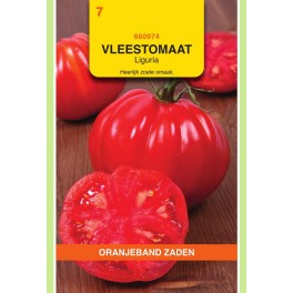 Oranjeband® Tomato Liguria