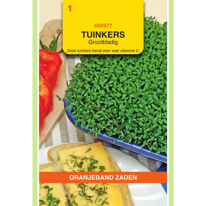 Oranjeband® Cress Broad-Leaved