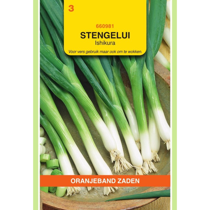 Oranjeband® Onion -Bunching Var.-Ishikura Long