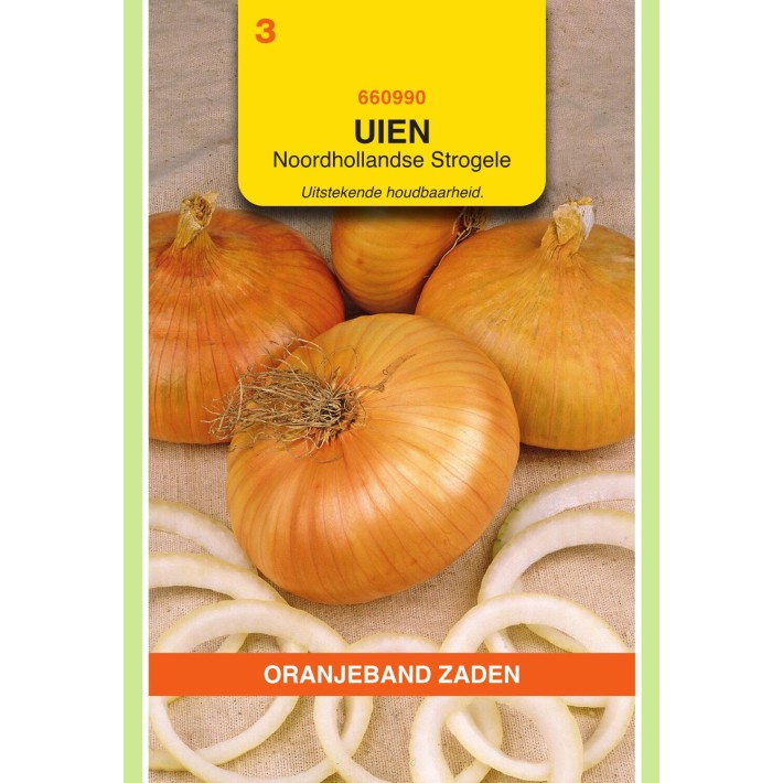 Oranjeband® Onion Yellow Flat Dutch