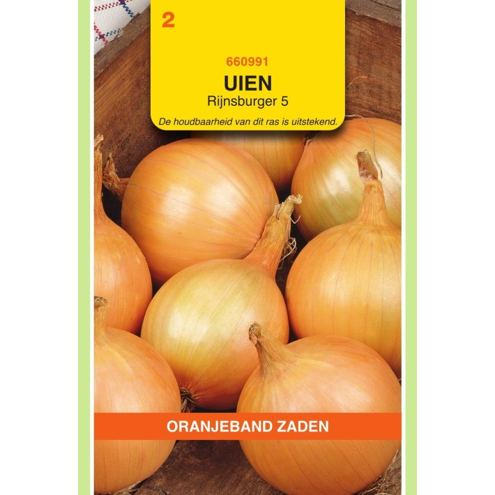 Oranjeband® Onion Rijnsburger