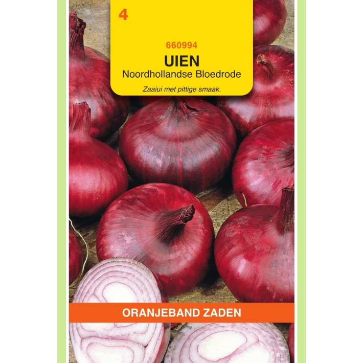 Oranjeband® Onion Noordhollandse Blood Red