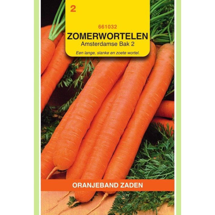 Oranjeband® Carotte d'Amsterdam 2