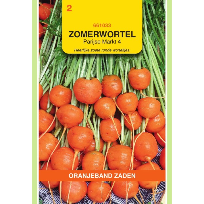 Oranjeband® Carrots Paris Market -4