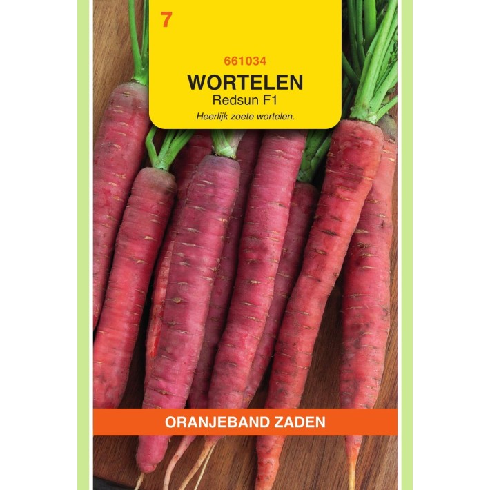 Oranjeband® Carrots Redsun F1