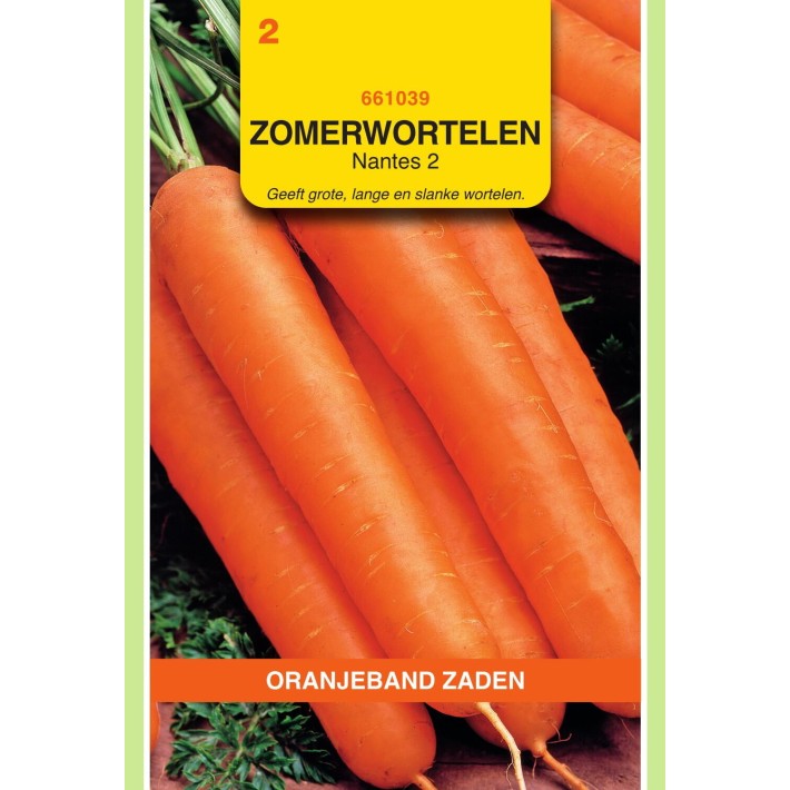 Oranjeband® Carrot Nantes 2