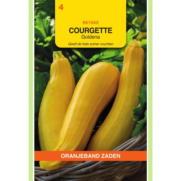 Oranjeband® Zucchini Goldena
