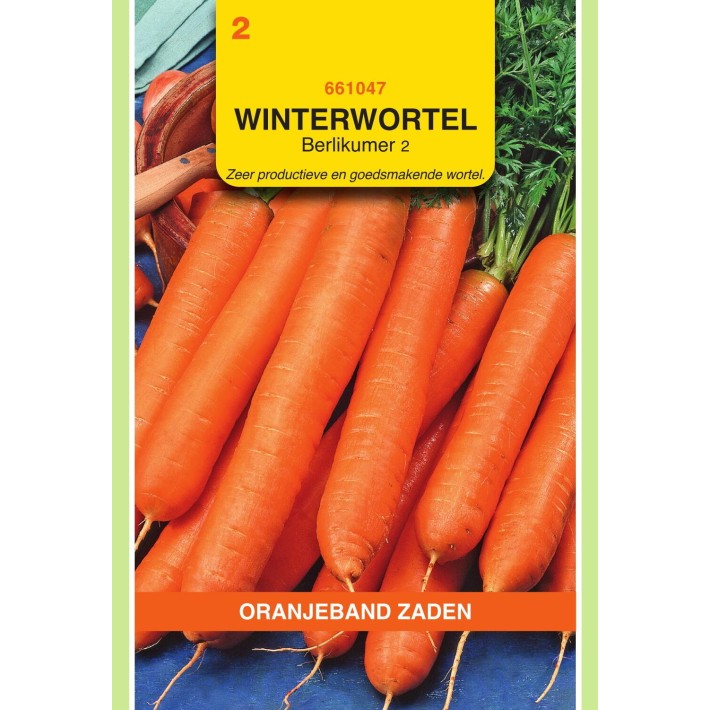 Oranjeband® Carrot Berlikum 2