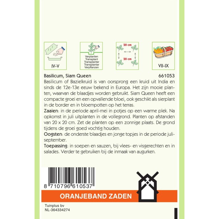 Oranjeband® Basil Siam Queen