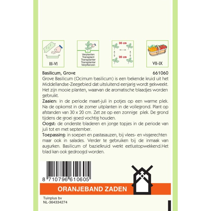 Oranjeband® Basilic Grand Vert (Ocimum basilicum)