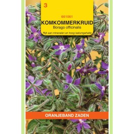 Borage, Komkommerkruid