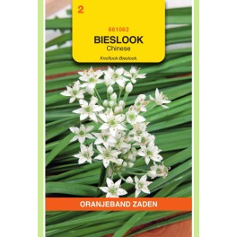 Bieslook Chinese