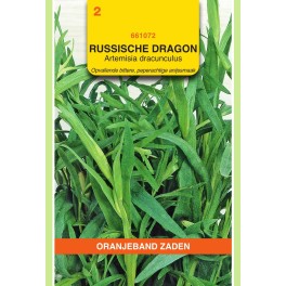 Dragon Russische