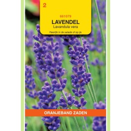 Lavendel