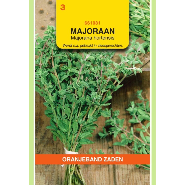 Oranjeband® Sweet Marjoram (Majorana Hortensis)