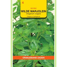 Wilde Marjolein, Oregano