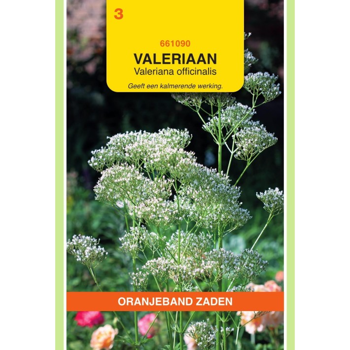 Oranjeband® Valeriane Officinale