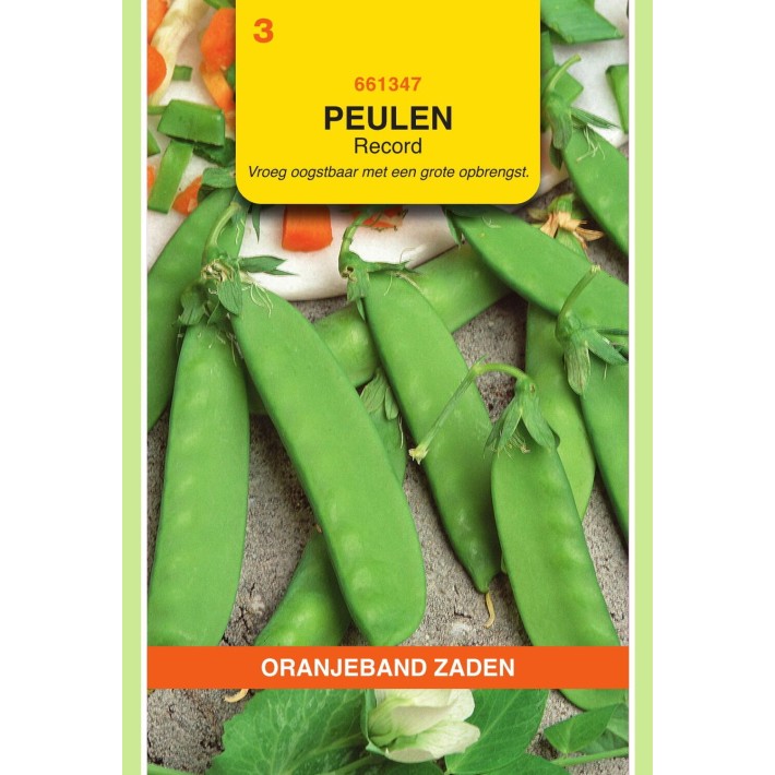 Oranjeband® Pois mangetout Record 25g