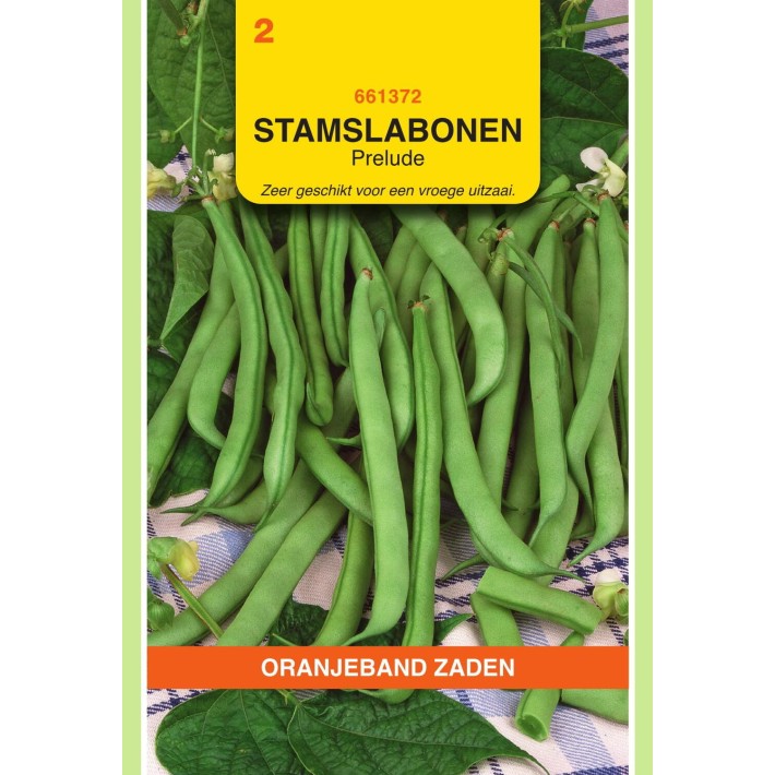 Oranjeband® Dwarf French beans Prelude, 25g