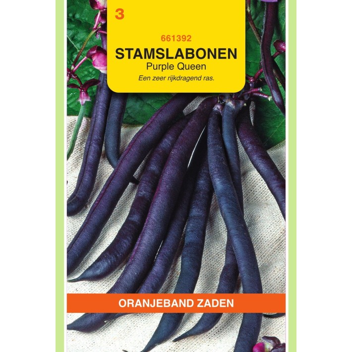 Oranjeband® Bush Beans Purple Queen, 25g