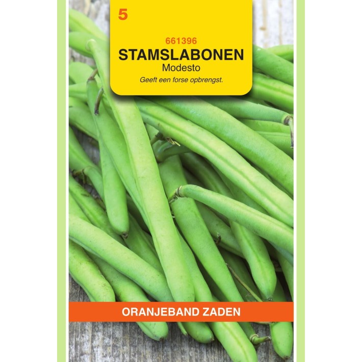 Oranjeband® Bush Beans Modesto, 25g