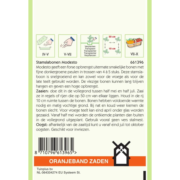 Oranjeband® Bush Beans Modesto, 25g