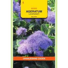 Ageratum, Leverbalsem Blue Mink
