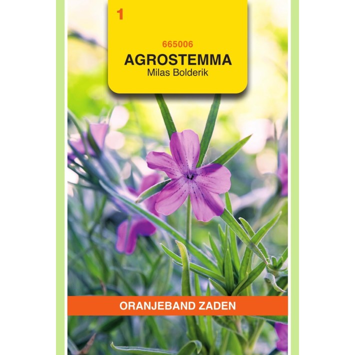 Oranjeband® Agrostemma  githago Milas / Corncockle