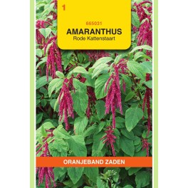 Amaranthus, Kattenstaart rood
